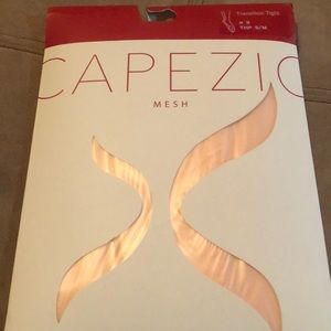 Capezio Transition Tights with seams